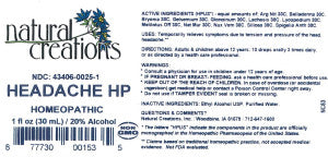 Headache HP