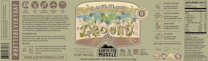 EFM Chocolate Plant Protein Pkt