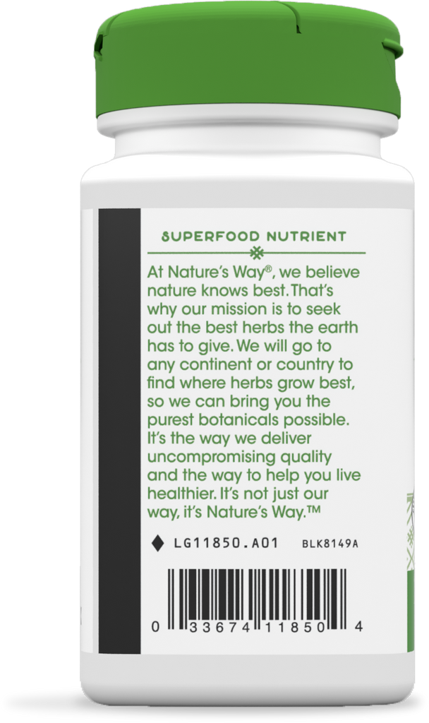Chlorella Micro Algae