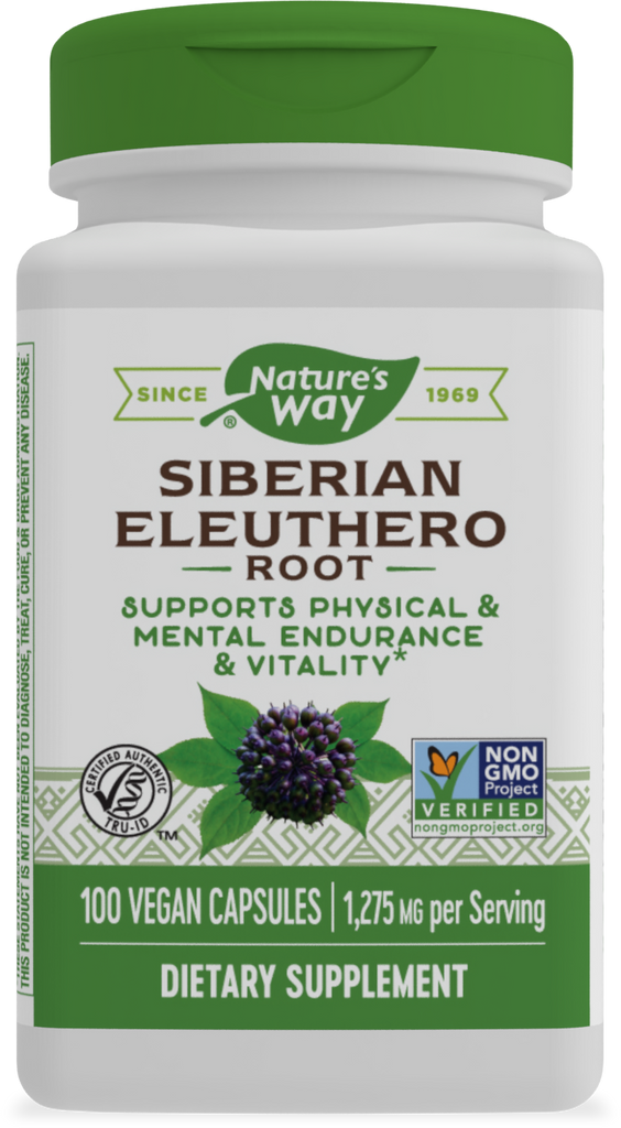 Siberian Eleuthero
