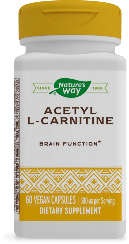 Acetyl L-Carnitine