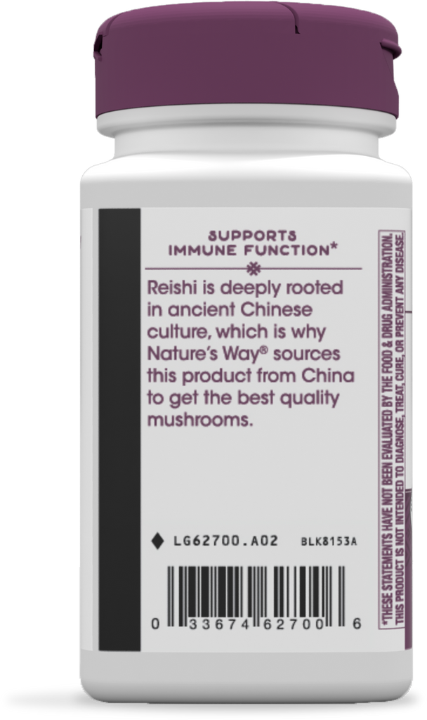 Reishi Mushroom
