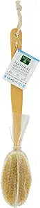 Earth Therapeutics Back Brush 18 in.