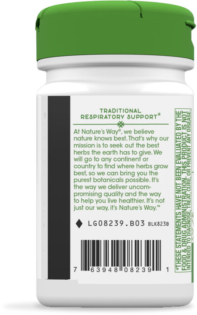 Ivy Extract